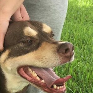 Meet your Posher, Jeff